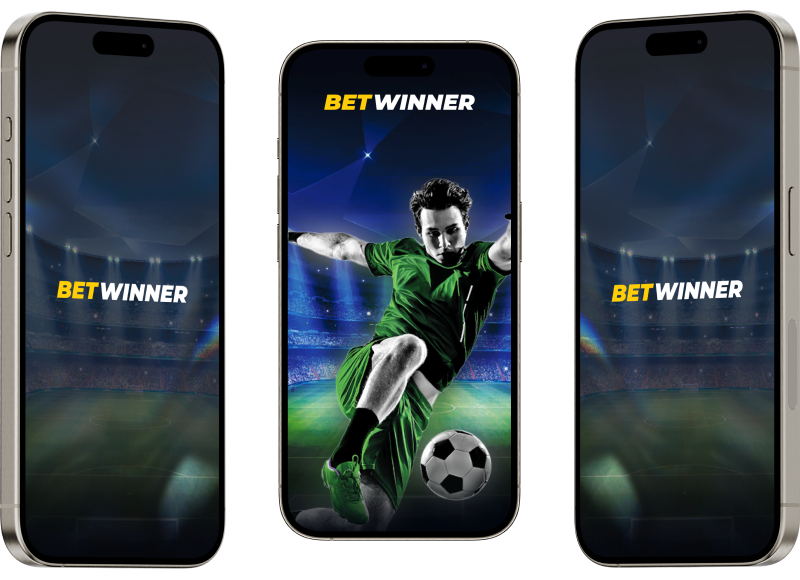 BetWinner Application